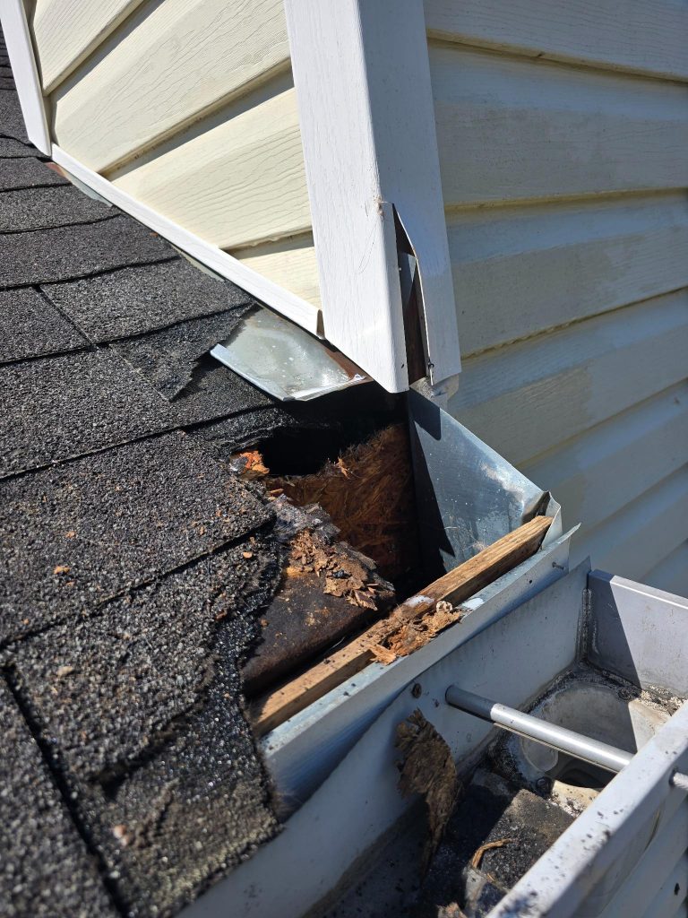 Wildlife entry point and roof damage requiring exclusion repair