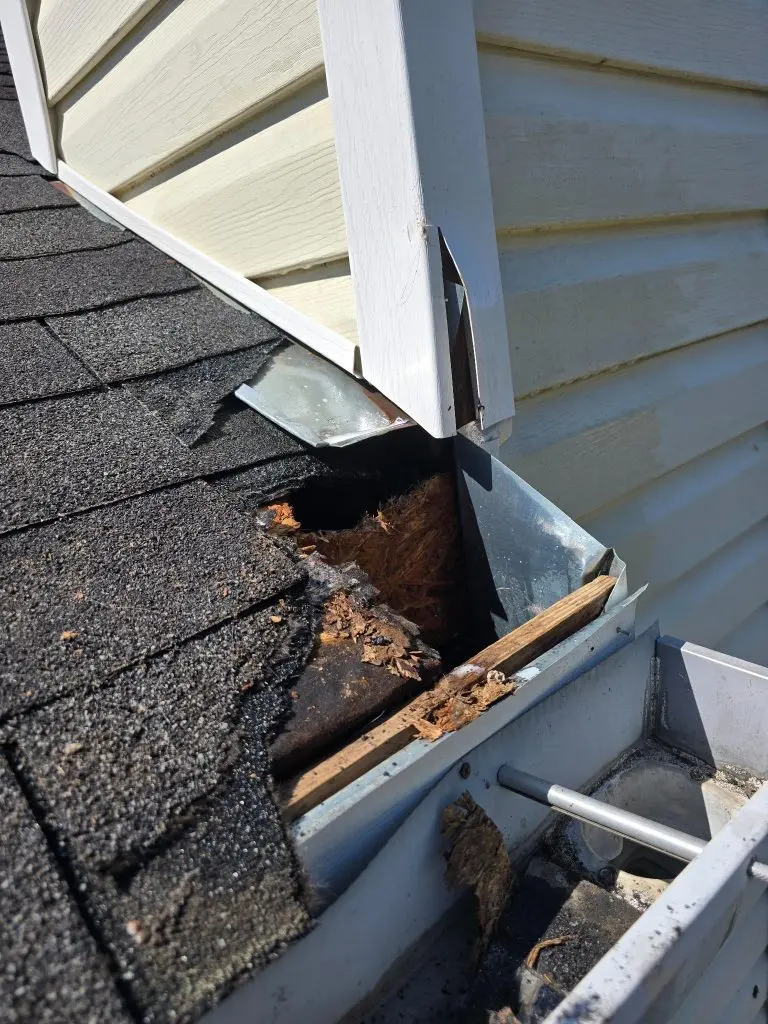 Wildlife entry point and roof damage requiring exclusion repair