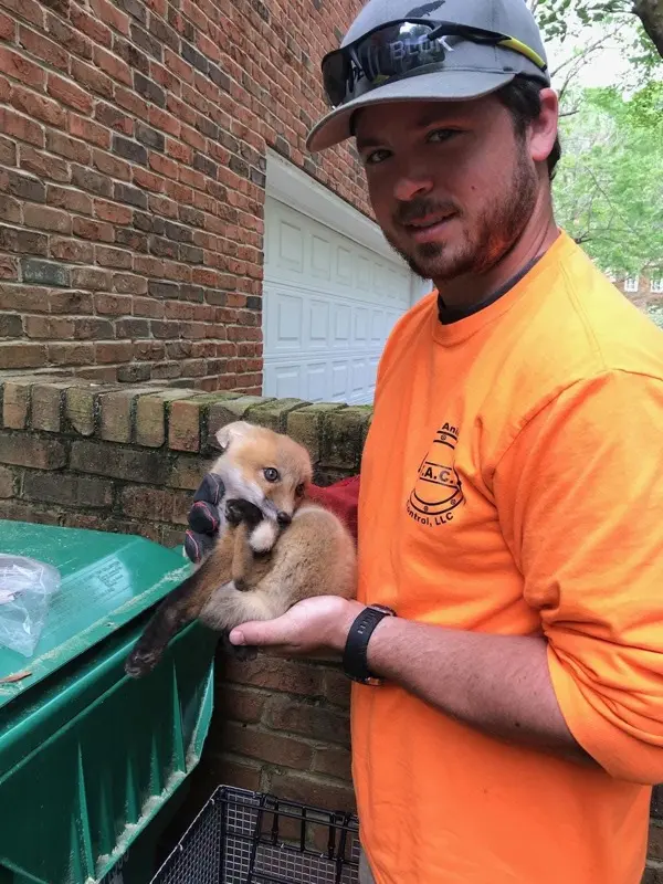Total Animal Control wildlife removal team and customer reviews
